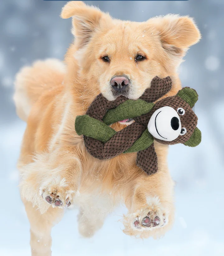 Shop Toys